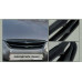 ARTX-EAGLES CARBON RADIATOR GRILLE HYUNDAI GENESIS COUPE 2008-13