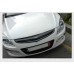ARTX EAGLES CARBON RADIATOR TUNING GRILLE FOR HYUNDAI I30 2008-11
