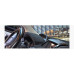 BLACK LABEL - PREMIUM NON-SLIP DASHBOARD COVER MAT BWM X3 2010-15