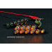 EXLED REAR TURN-SIGNAL LIGHTS LED MODULES HYUNDAI AVANTE 2013-14 EXLED REAR TURN-SIGNAL LIGHTS LED MODULES HYUNDAI AVANTE 2013-14