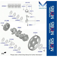 MOBIS CRANKSHAFT PISTON KIT D4HE ENGINES HYUNDAI KIA 2020-26 MOBIS CRANKSHAFT PISTON KIT D4HE ENGINES HYUNDAI KIA 2020-26
