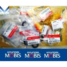 MOBIS GASKET ASSY ENGINE G4ND FOR HYUNDAI KIA VEHICLES 2013-23 MOBIS GASKET ASSY ENGINE G4ND FOR HYUNDAI KIA VEHICLES 2013-23