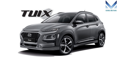 MOBIS NEW FRONT SHOCK ABSORBERS FOR HYUNDAI KONA 2017-20
