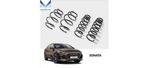 TUIX NEW DYNAMIC COIL SPRING FOR HYUNDAI SONATA LF 2017-19